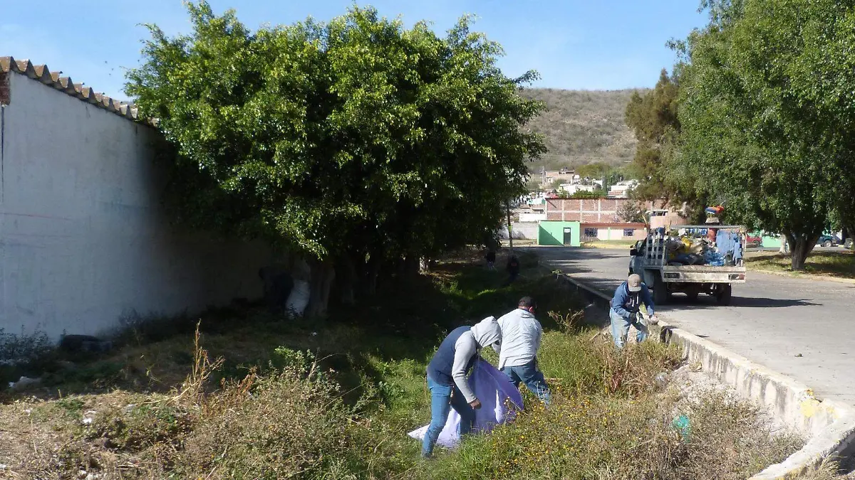 d09a8c8c-3b8e-4289-a06b-659b6f8fff2c