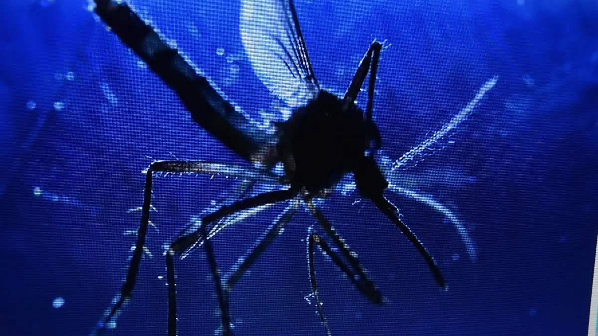 DENGUE JESUS GTZ-EL SOL DE IRAPUATO (2)