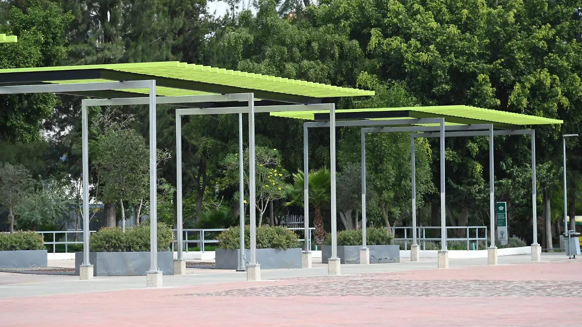 EMBELLECEN-PARQUE-IREKUA  (4)