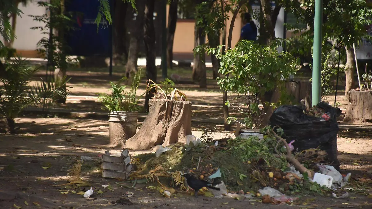 Los-colonos-1-okokok