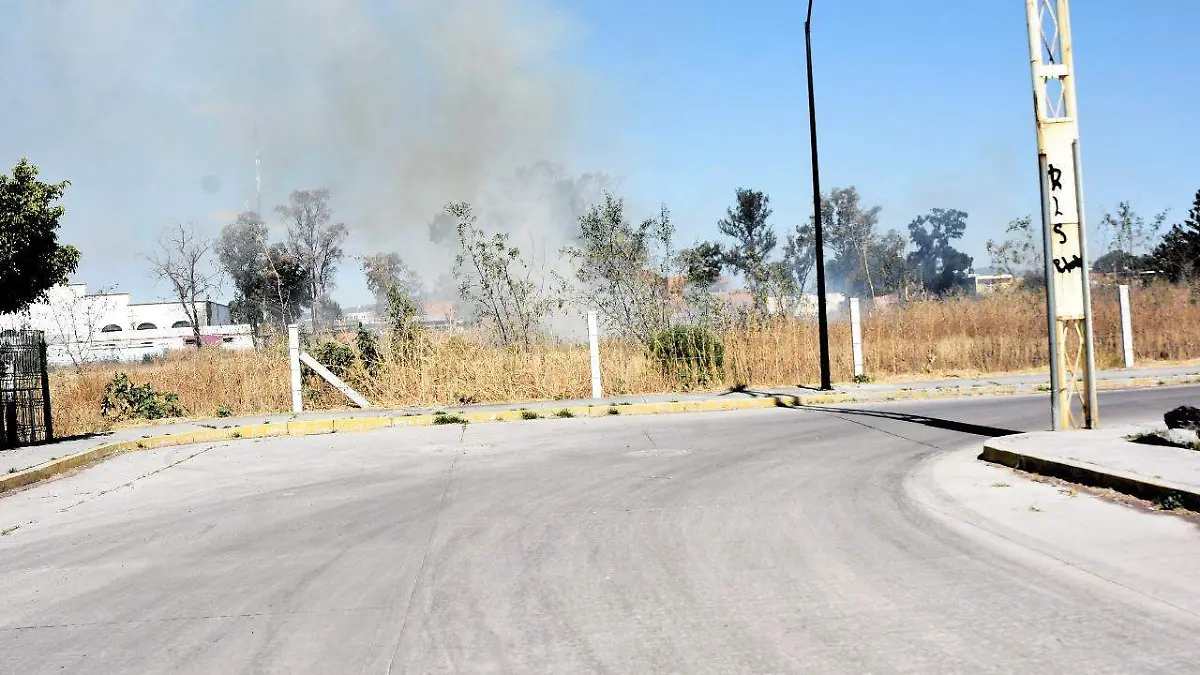 Image 2024-02-26 at 6.01.32 PM