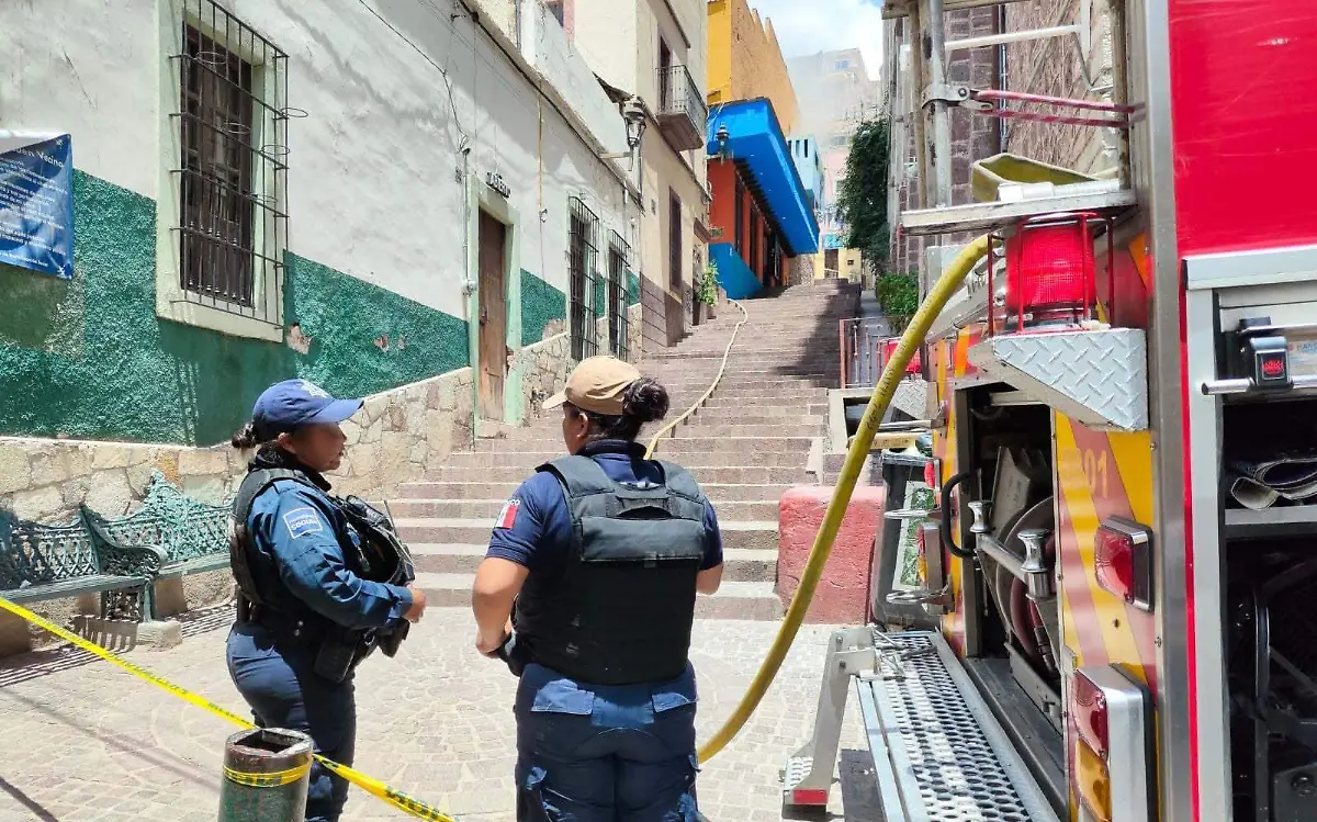 37ae2978-dd31-448f-85cc-eeaf9a1a8435