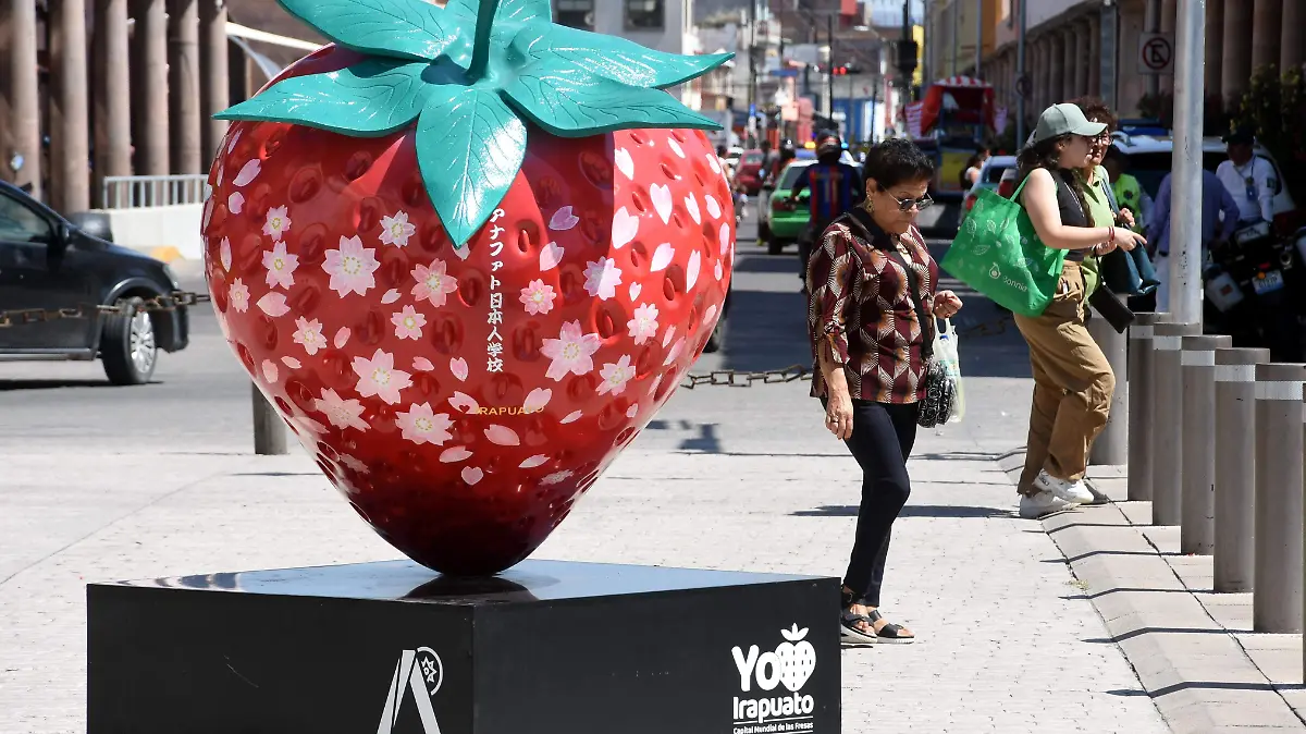 ARTESANIAS JESUS GTZ EL SOL DE IRAPUATO (5)