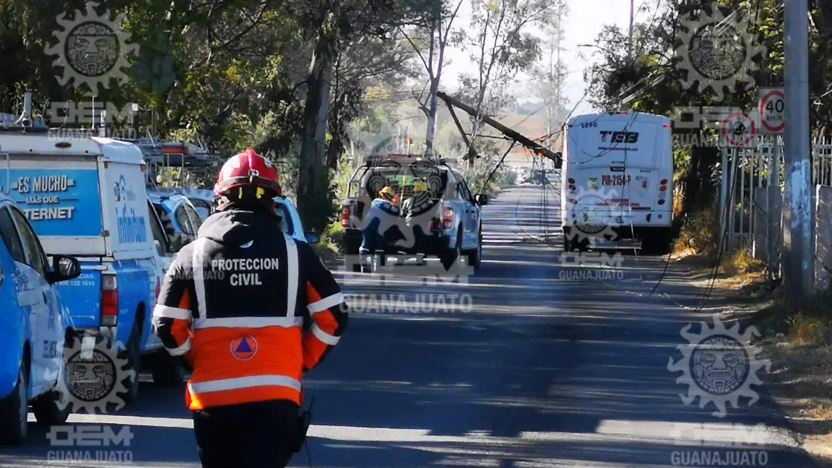 Derriba-cableado (2)