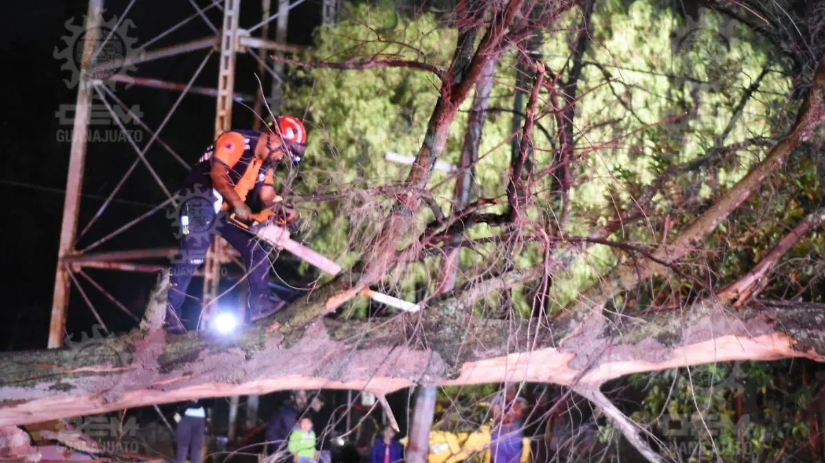 0853340f-a250-4f3b-aea4-58e6ac148451