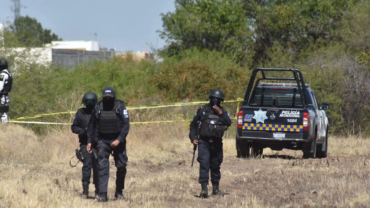 Restos-localizados (2)