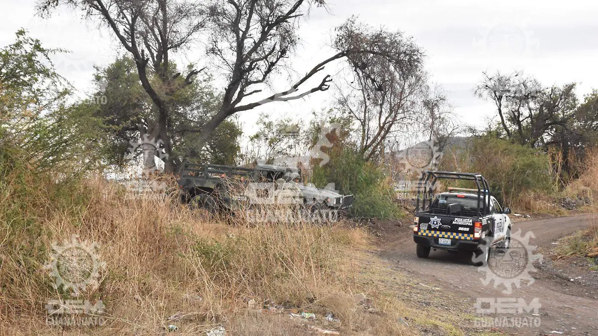 Localizan-cuerpos (2)