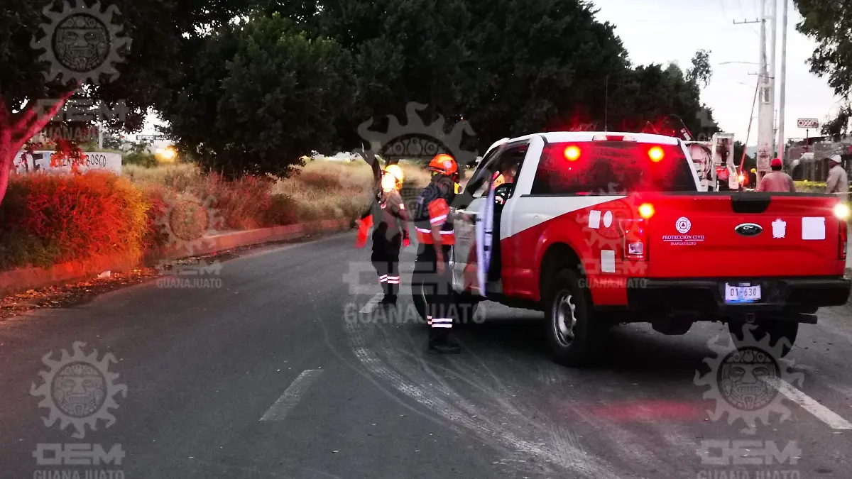 97eb0555-1b46-461a-8108-8f7a9c7a4dc8