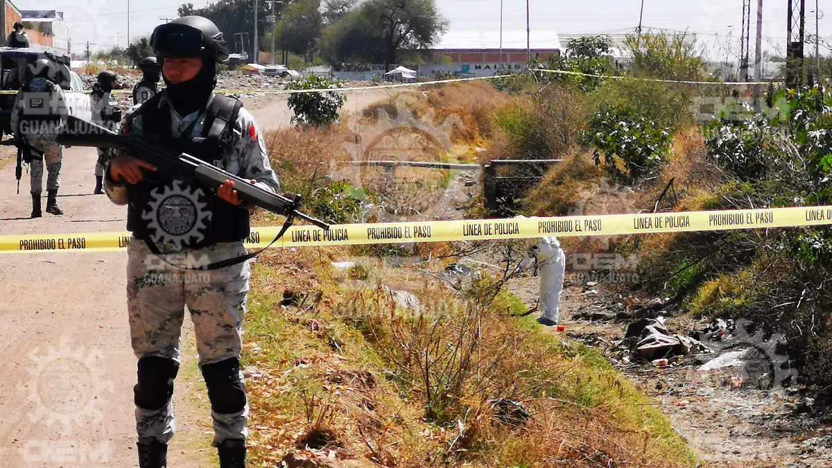 Brigada independiente (2)