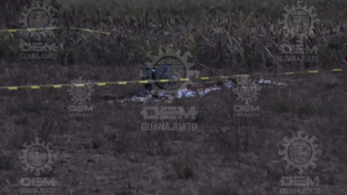 WhatsApp Image 2023-12-22 at 6.56.12 PM