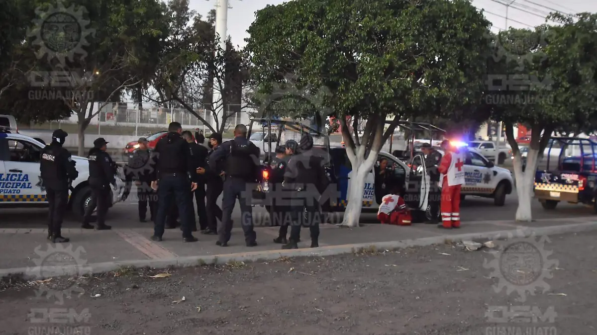 409461f3-44ff-47b8-9446-4e760a0abf60