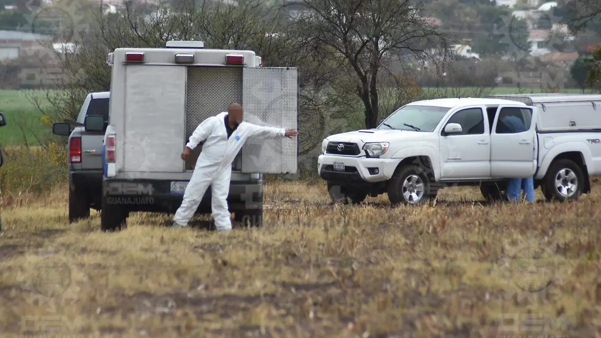 e0acee1f-a3e9-4d59-ac52-7fd12323e56e