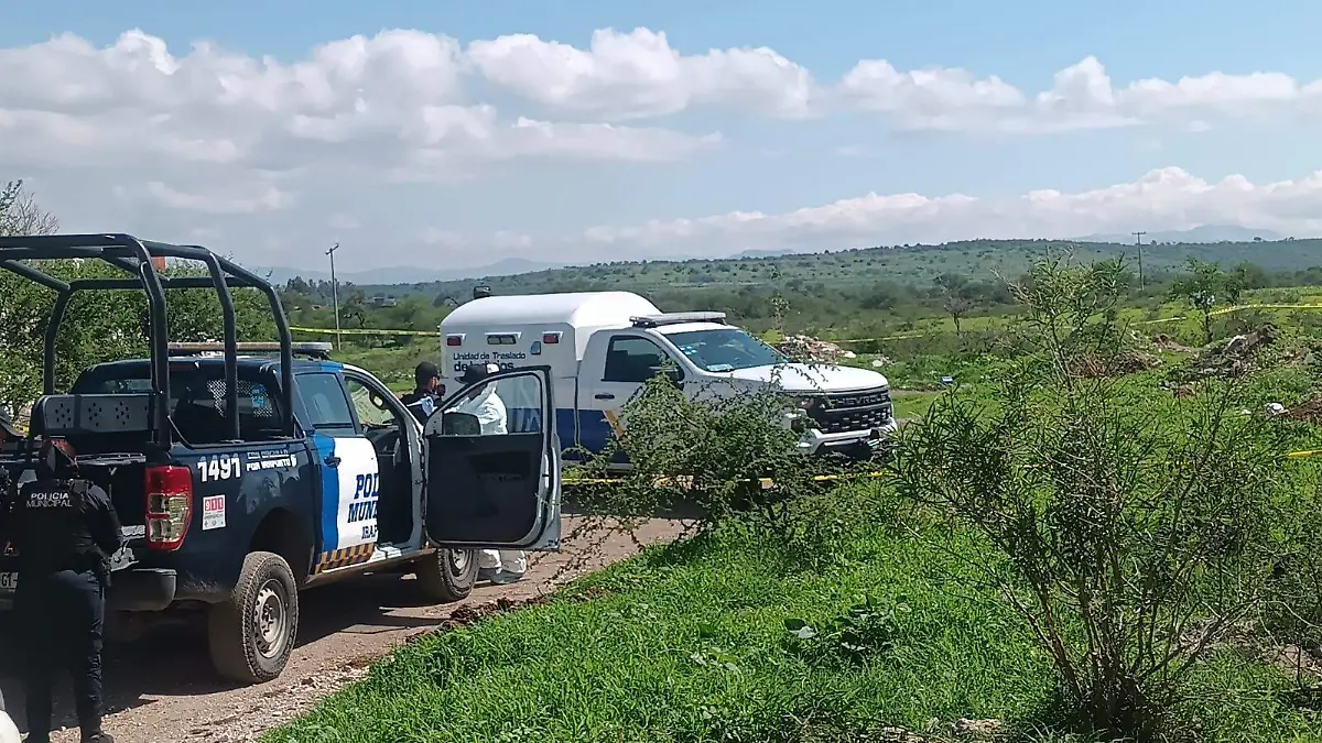 Encuentran cadáver de hombre cerca del panteón de Aldama, en Irapuato (1)