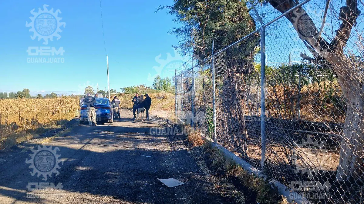 Encuentran- cadaveres (1)