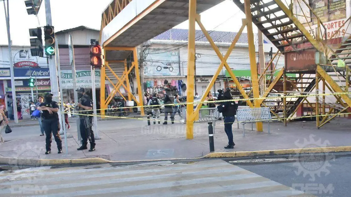 1a1d11c7-d32e-42ba-a4d3-844abcf7fe7b