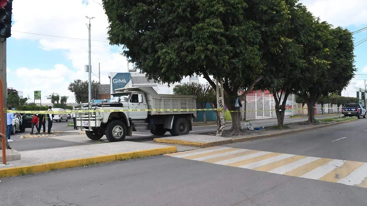 WhatsApp Image 2024-08-21 at 10.58.17 AM