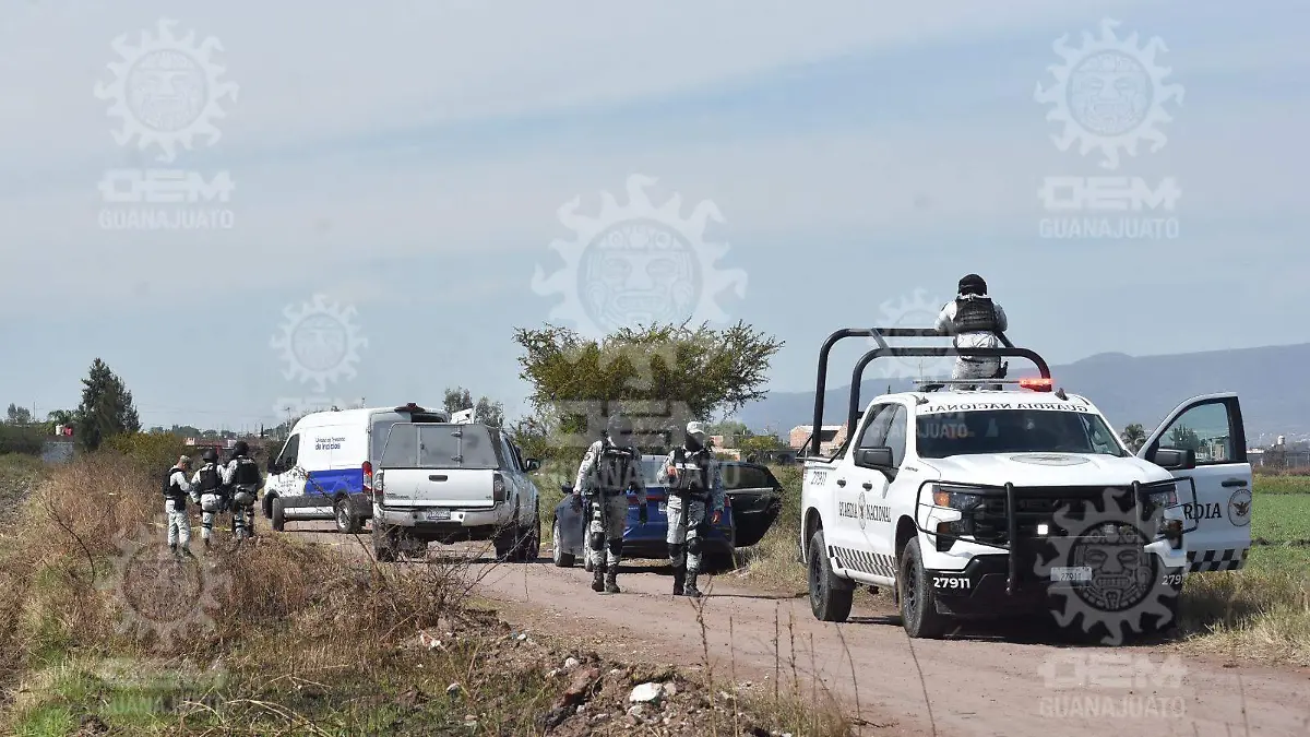 Localizan-cadáver (2)