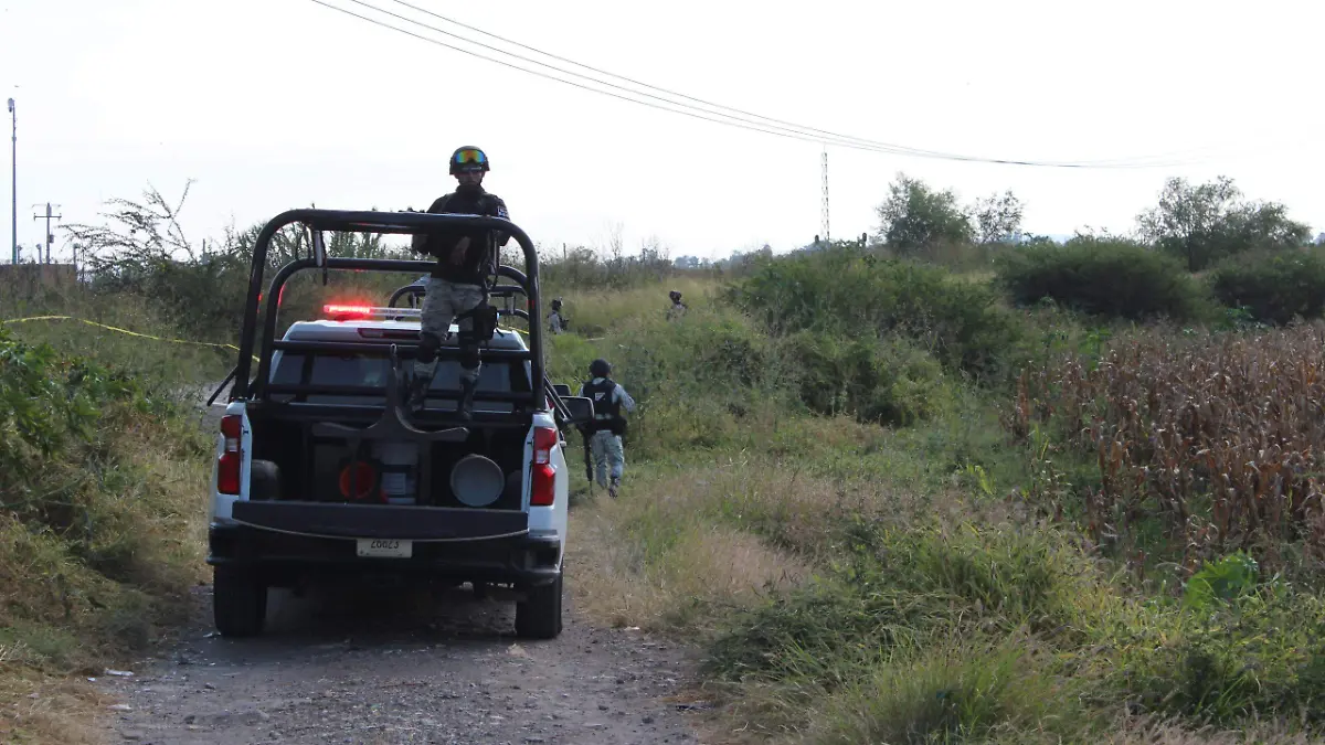 WhatsApp Image 2024-02-19 at 6.12.34 PM