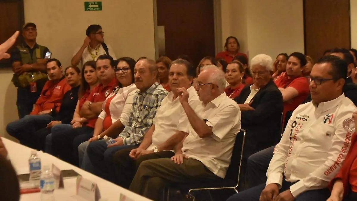 Militantes-y-simpatizantes-2-okokok