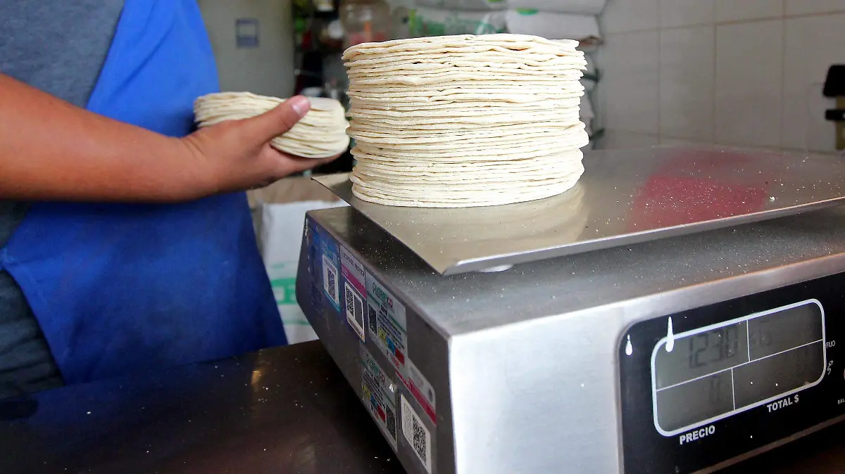 FCO MEZA - TORTILLA (2)