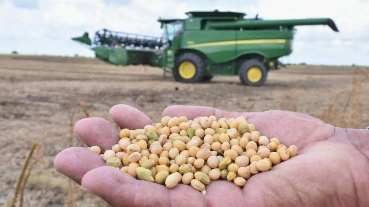 Productores de Tamaulipas buscan revivir el programa “Agricultura por Contrato”. CORTESÍA DESARROLLO RURAL