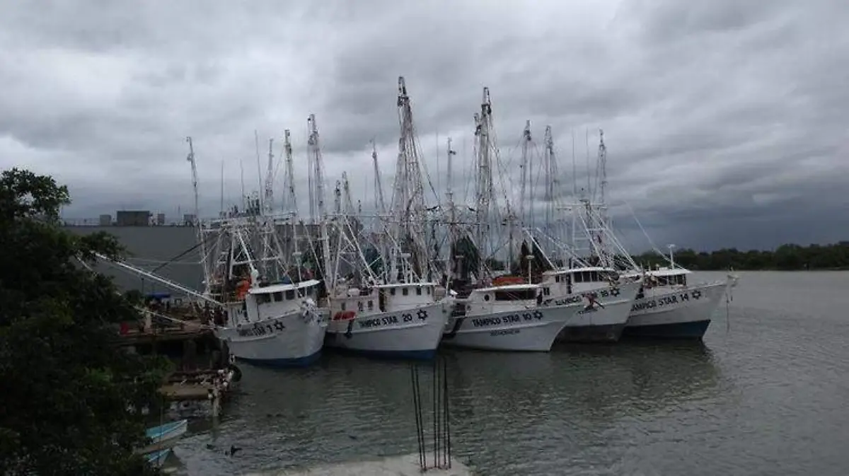 pesca