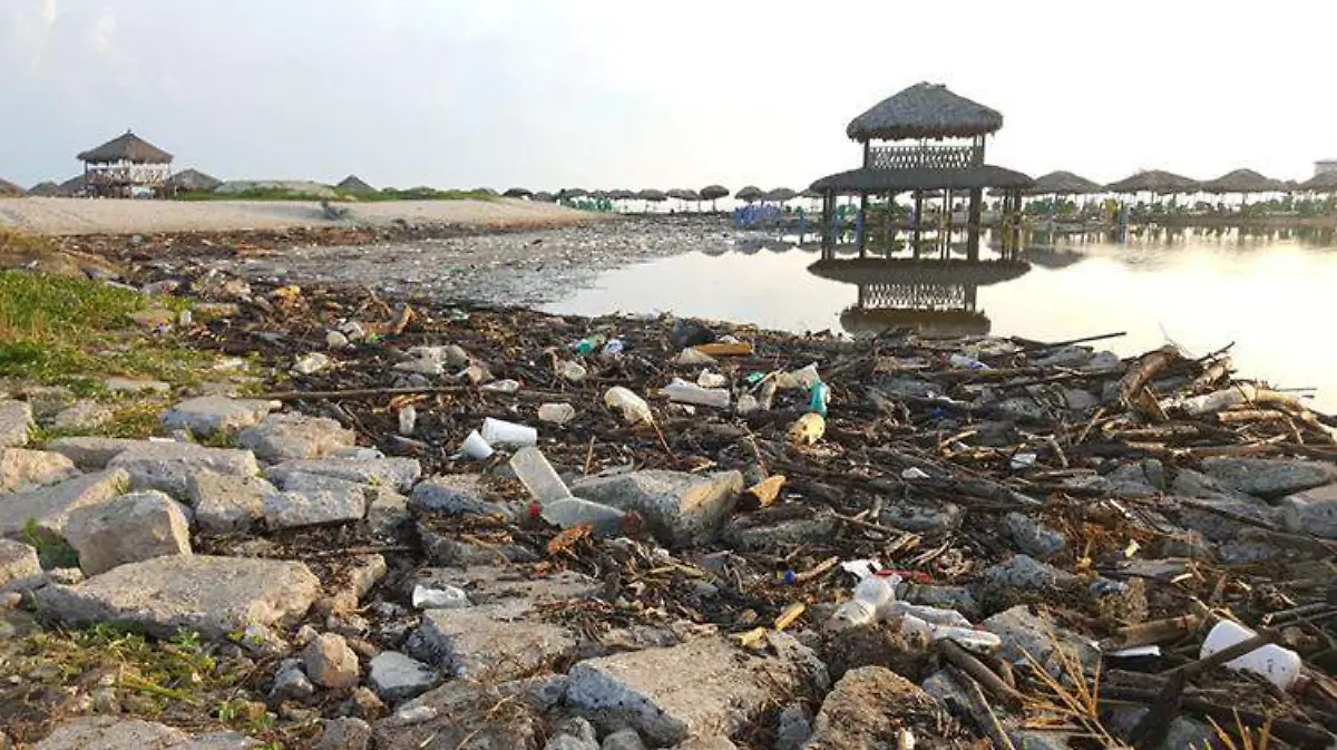 tams-basura