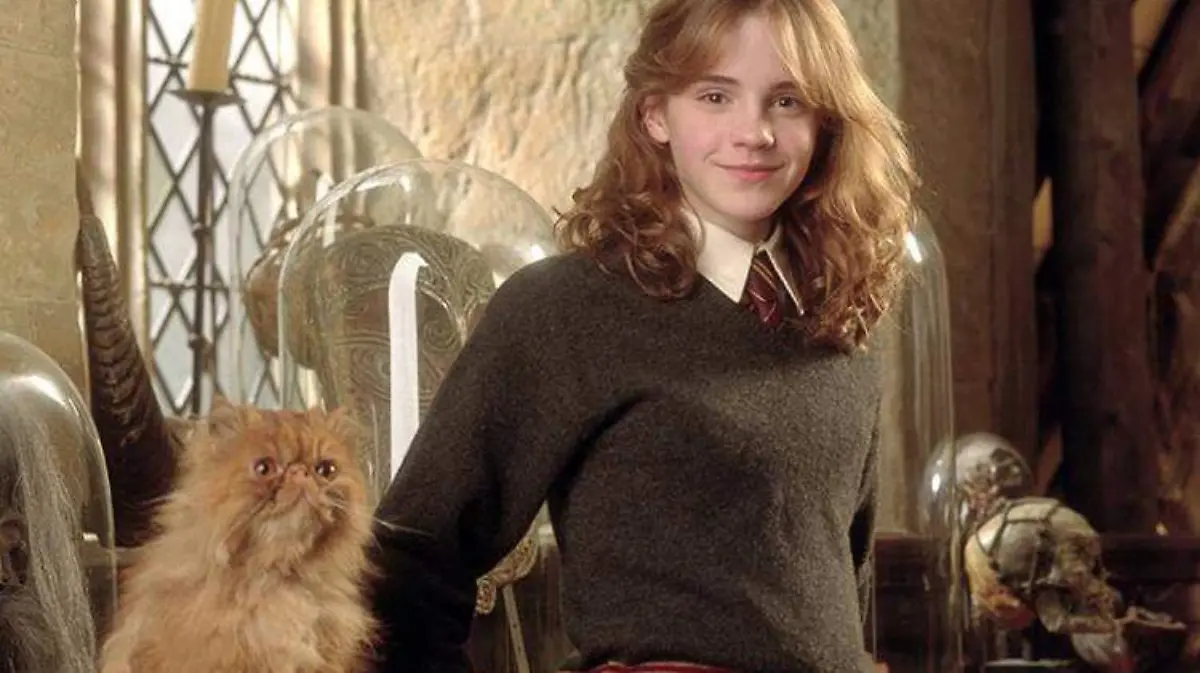 hermione-harrypotter-jkrowling