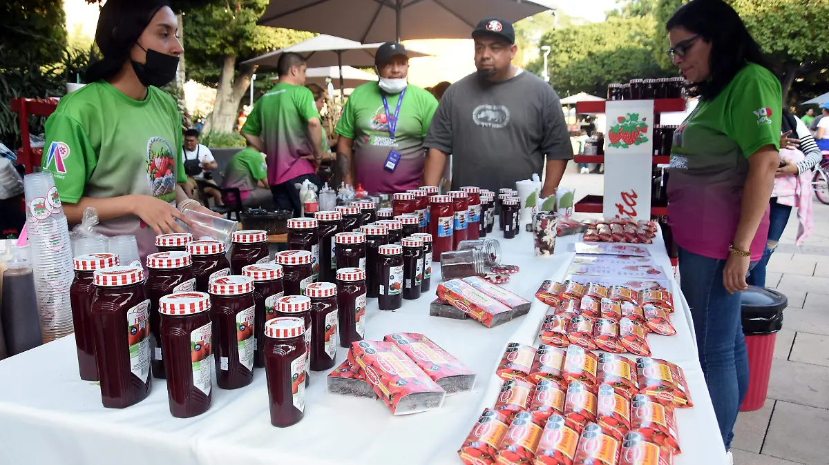 Foros regionales turisticos seran guia pata armar plan turistico estatal de Guanajuato