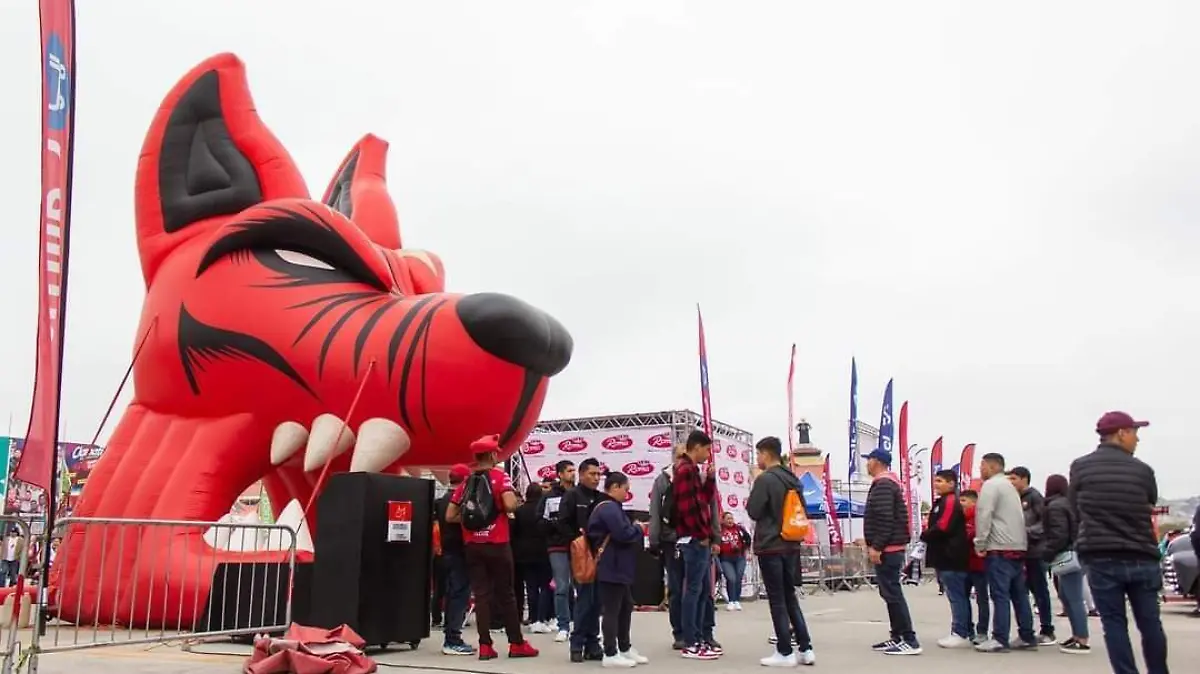 XOLOS