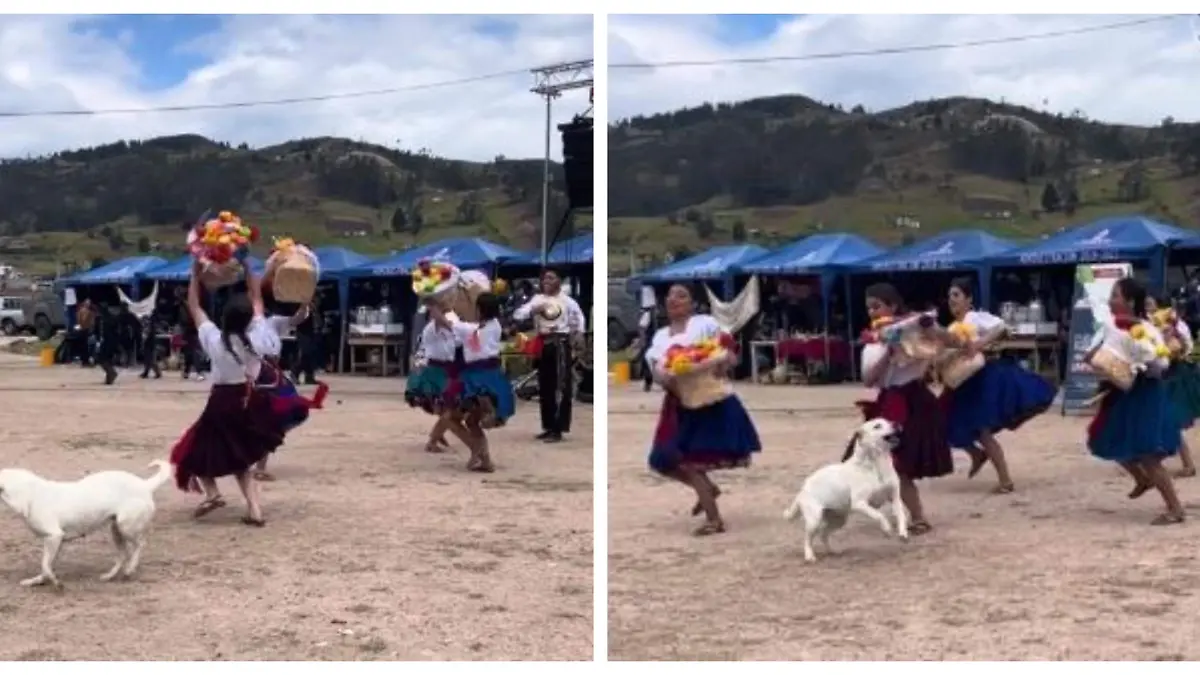 Perro-Folclor