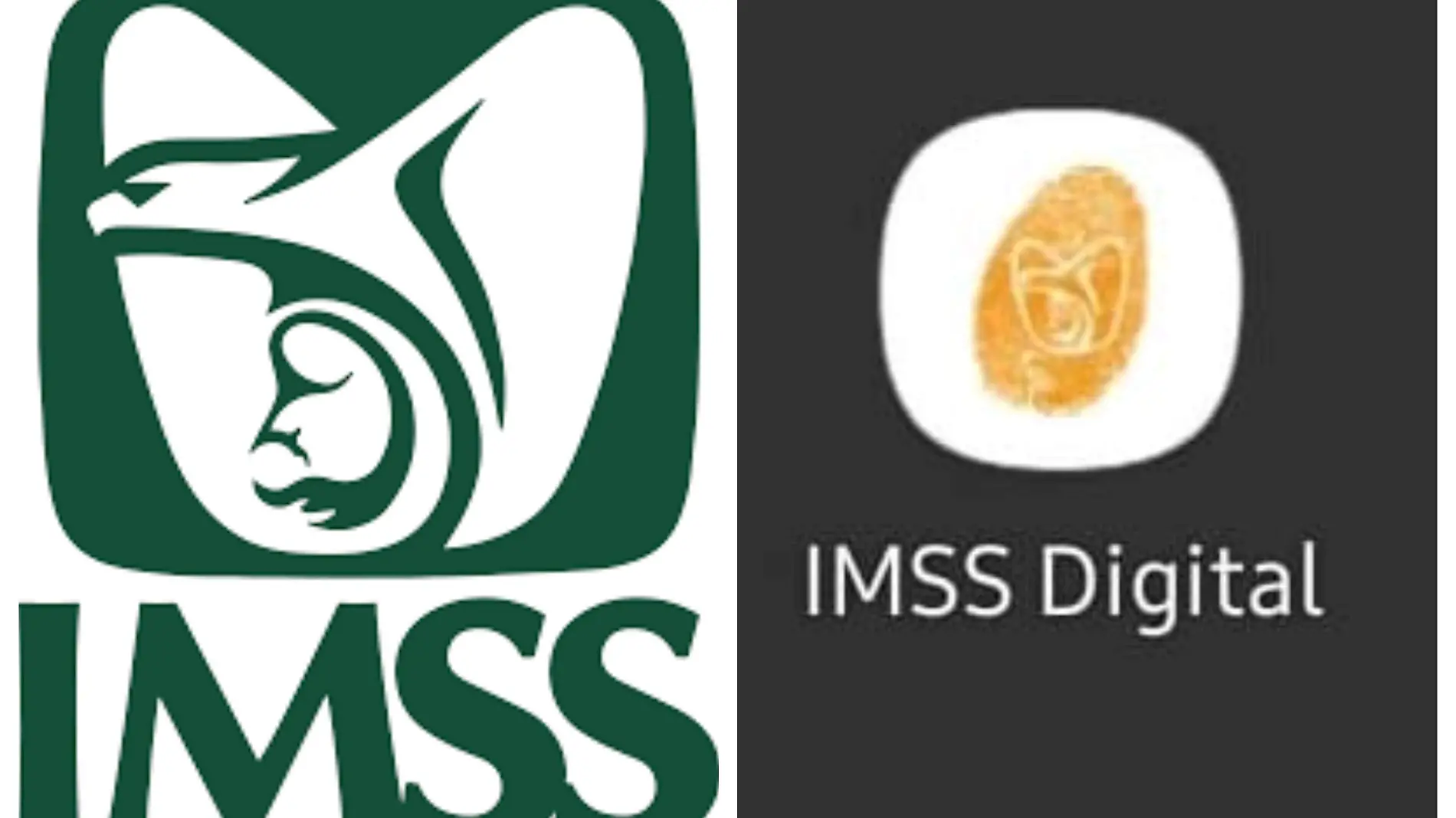 IMSS