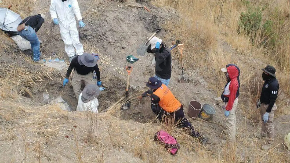 94a0956b-575b-448f-b5c5-528ec0c2f9dc