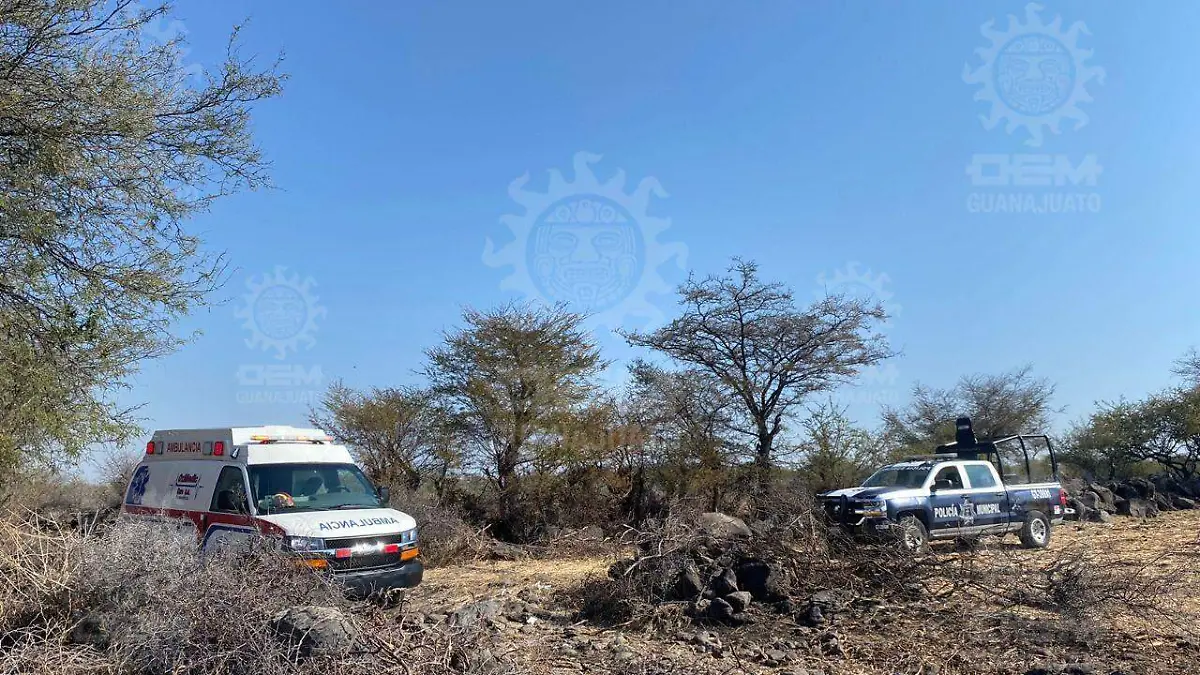 de5324a5-e184-4374-b38a-96d498f573d0 (1)