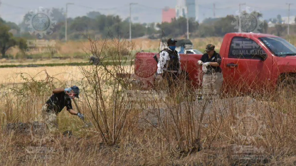 Encuentran  cadáveres en Irapuato   (2)