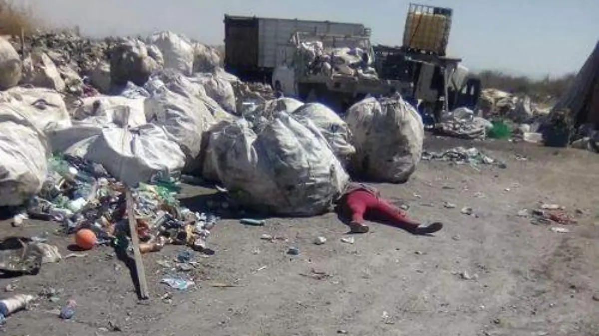 WhatsApp Image 2019-02-28 at 3.31.23 PM