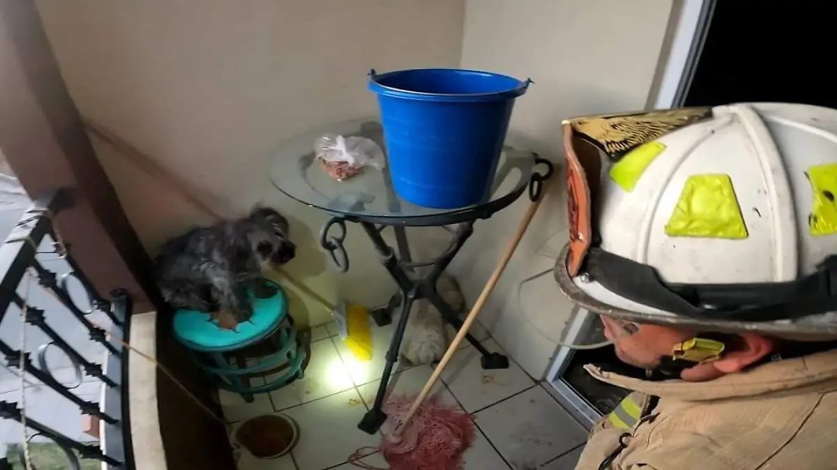 2b8e3970-8a4c-4972-a576-f418e6900ce0