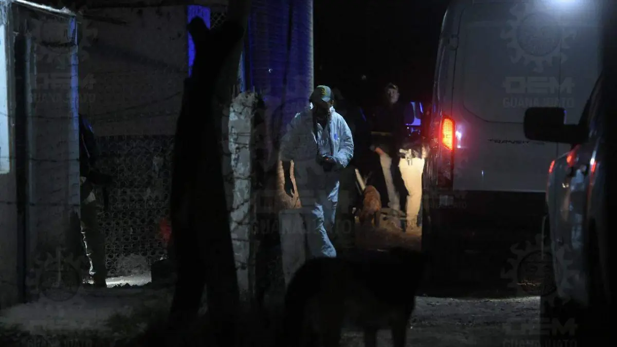 4c72b917-7a85-4d12-8094-89387d5f474b