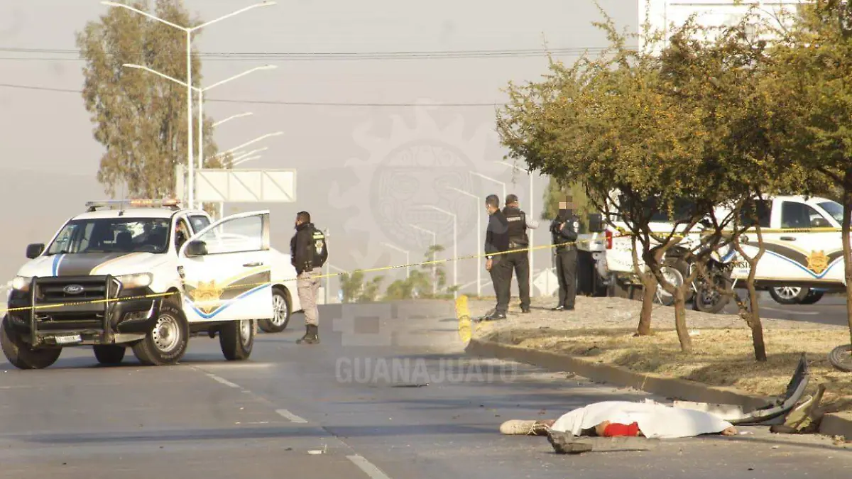 WhatsApp Image 2021-01-09 at 9.39.27 AM