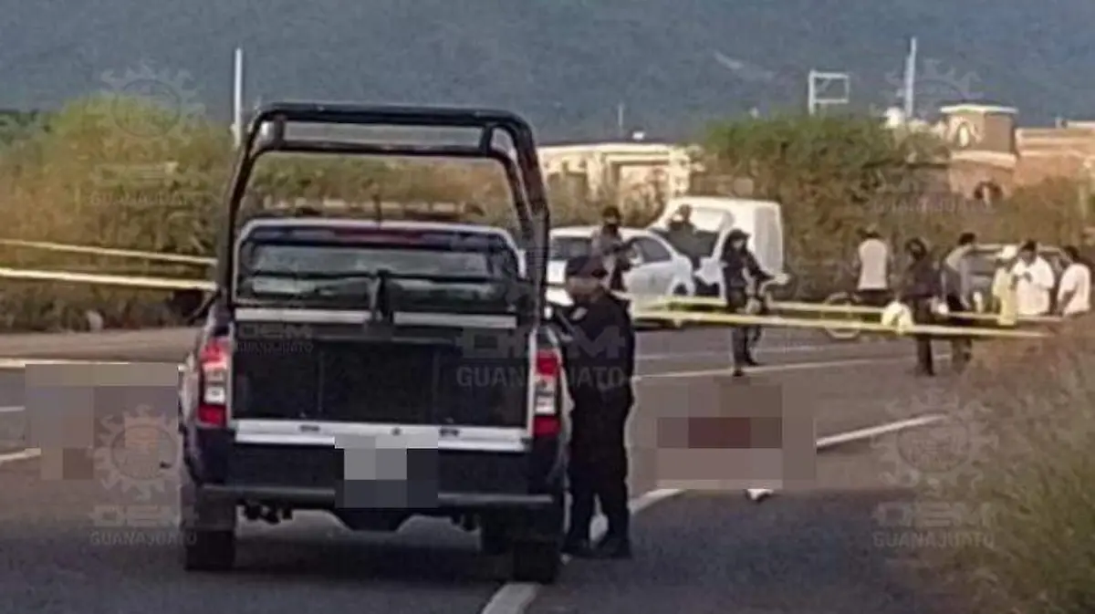 ATROPELLADOS-1-OKOKOK