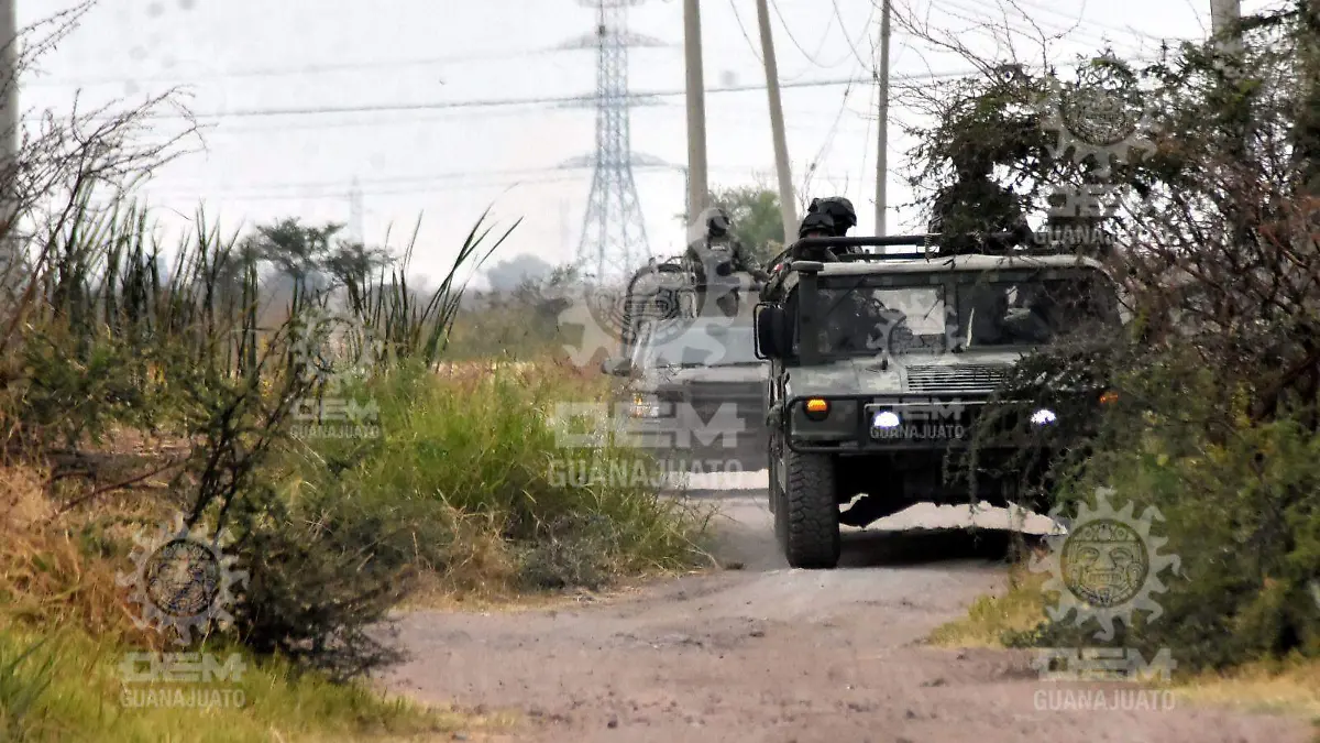 Localizan-cadáver  (1)