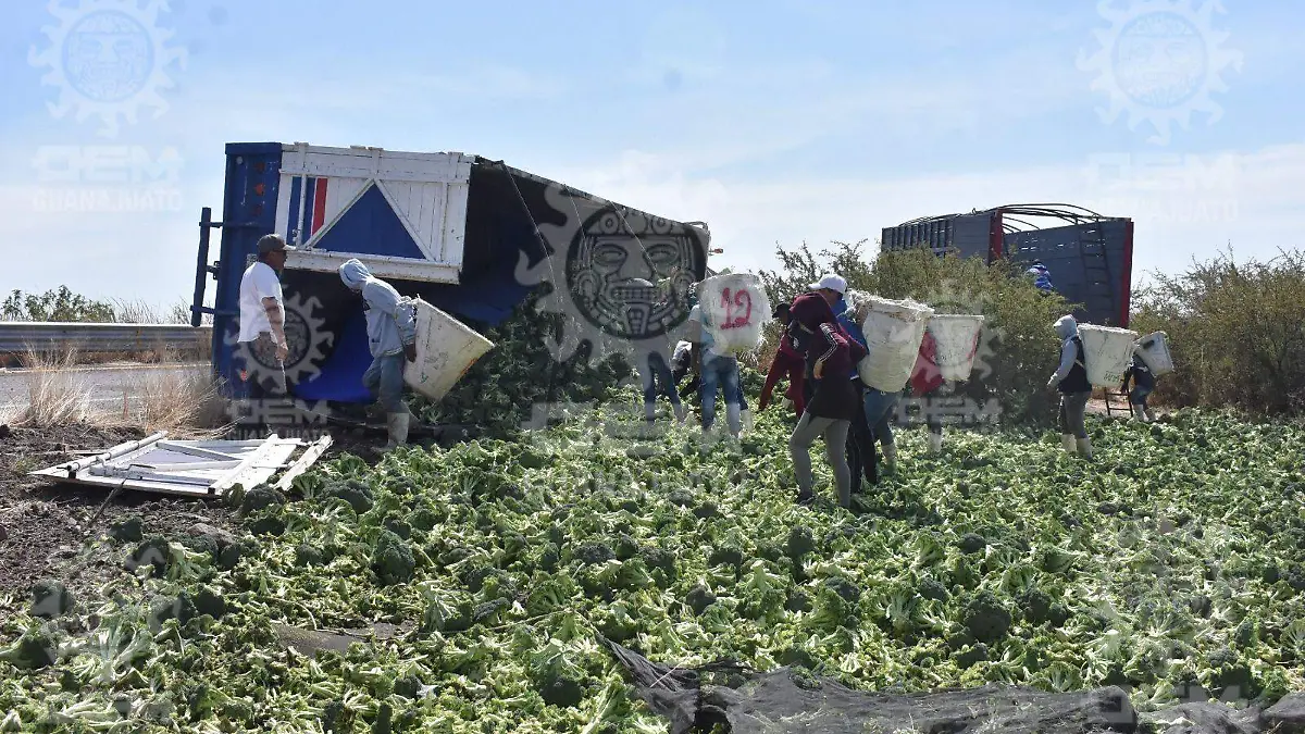 571cd47f-8fc9-4ec7-bad7-f57efb2f7b93