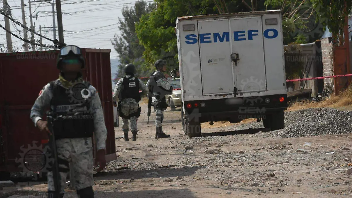 460e9cfb-0cf6-4ef4-9b45-e59065a0a5e5