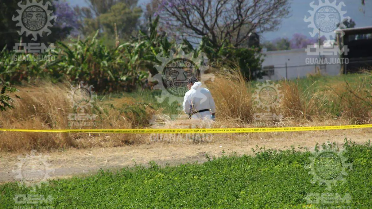 Localizan-dos-cadáveres (2)