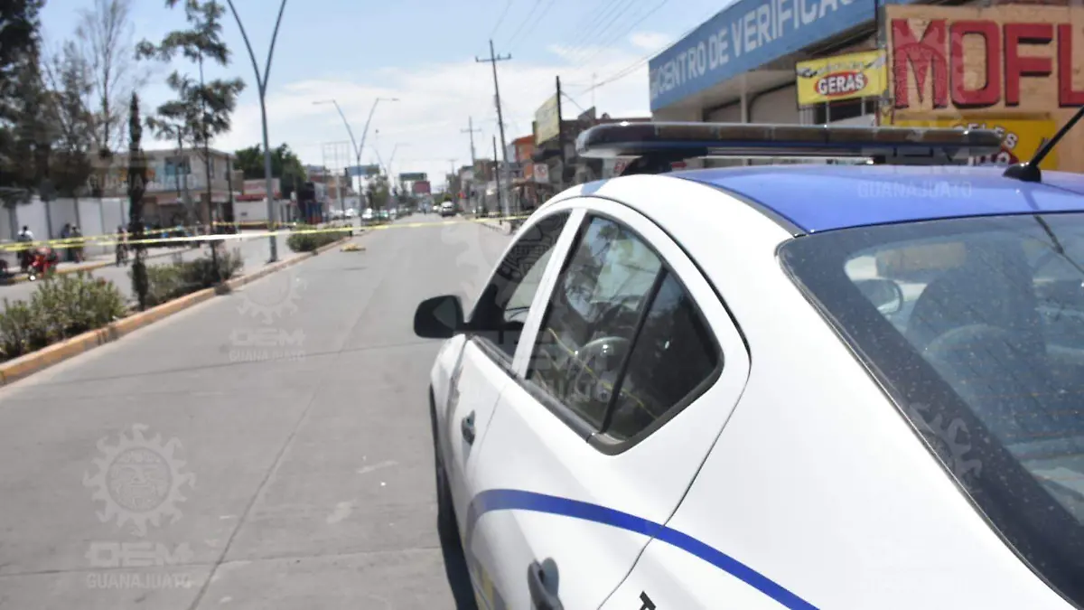 85c987c9-bcc0-4b50-bdf3-87267ed4110a