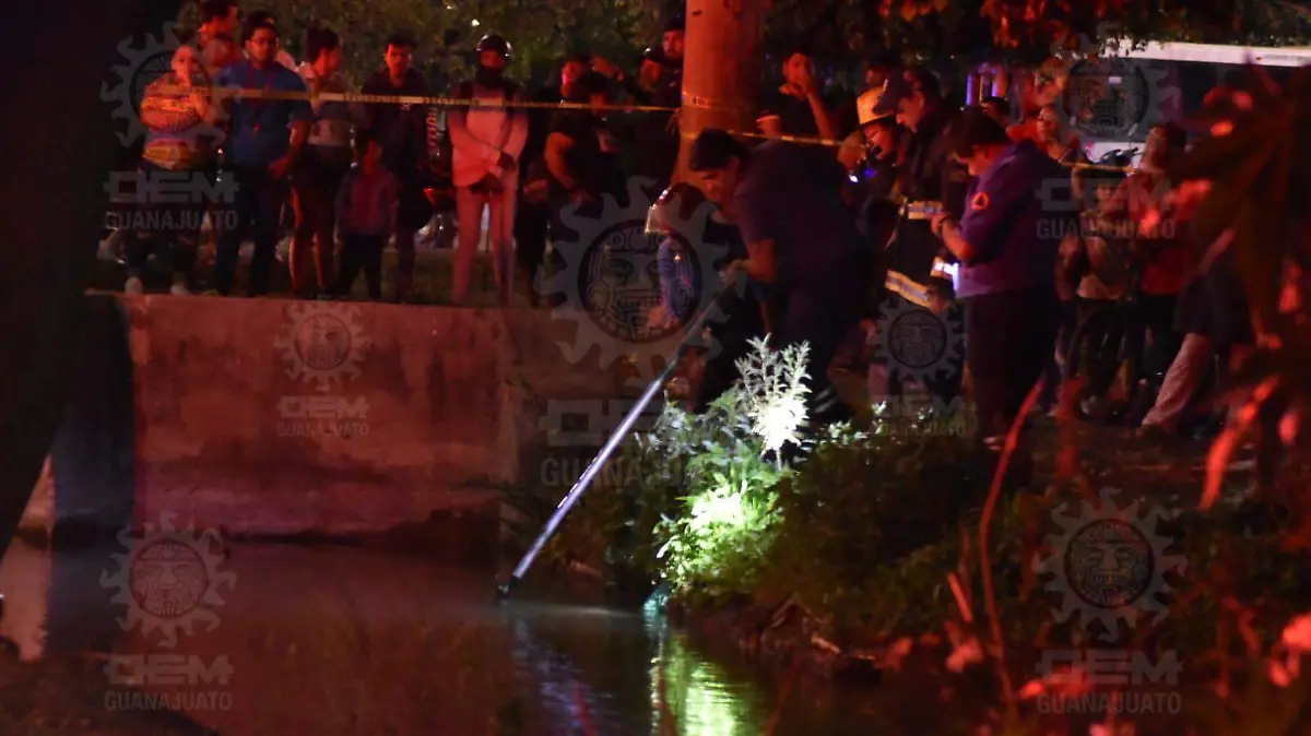 10b31386-66e0-4705-a92f-f8f84ed706b9