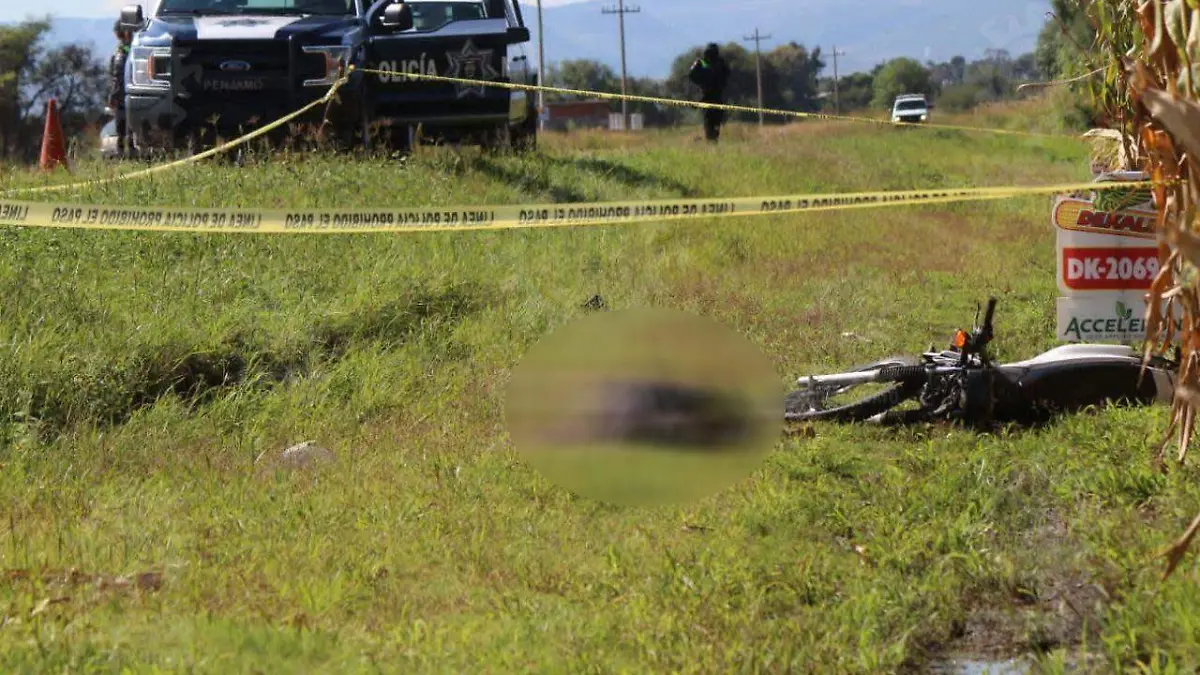 bba9e089-edfe-4ad4-b5d8-85afc3bd0eb2