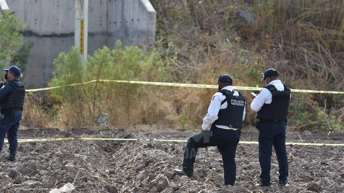 f7d99d36-475f-4a64-8b47-3331572e48c5