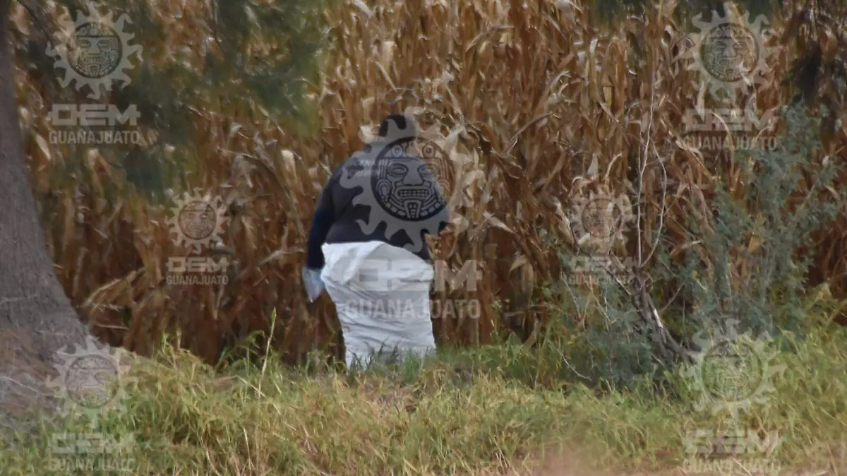 8b58b727-e5d4-48b0-a40b-6b7b4cdb70e7