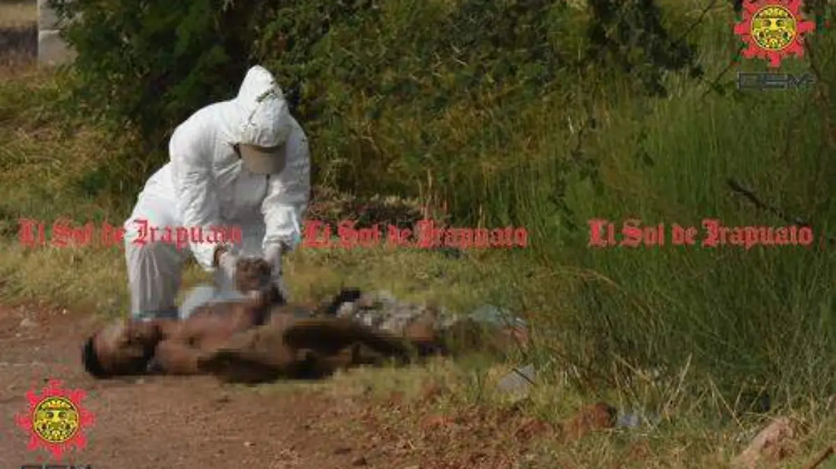 59b03e73-6556-4433-a59a-da62da71f333